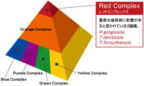 外苑前（港区北青山）の歯医者、サウラデンタルクリニックの予防歯科治療